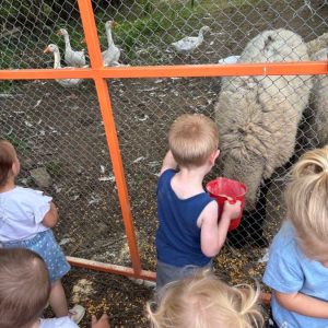 Вртић Забавник-2