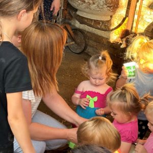 Вртић Забавник-3