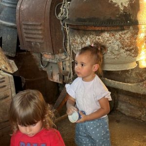 Вртић Забавник-4