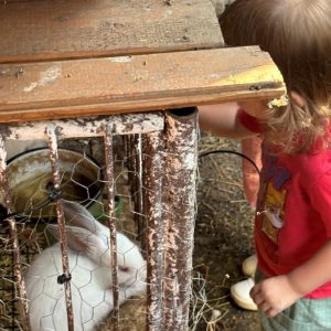 Вртић Забавник-6