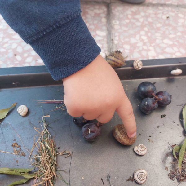 Вртић Пупољак (1)