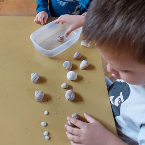 Вртић Пупољак (10)