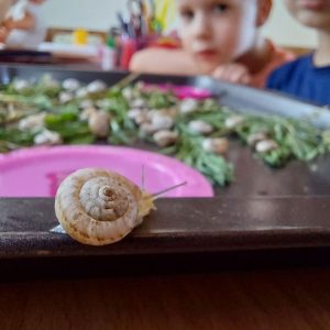 Вртић Пупољак (4)