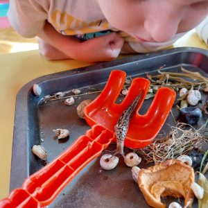 Вртић Пупољак (8)