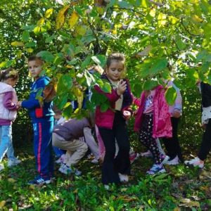 Вртић Петар Пан (10)