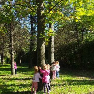 Вртић Петар Пан (11)