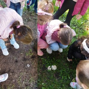 Вртић Петар Пан (3)