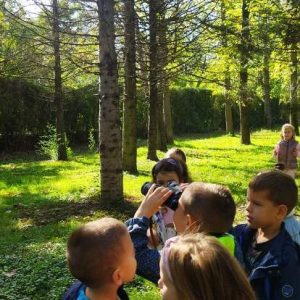 Вртић Петар Пан (5)