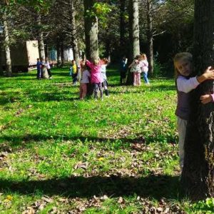 Вртић Петар Пан (7)