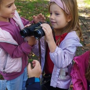 Вртић Петар Пан (9)