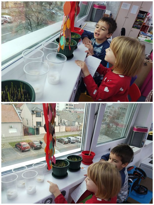 Шта се спрема у нашој кухињи (2)