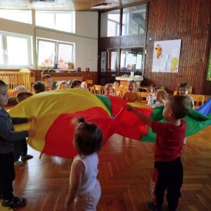 АДАПТАЦИЈА И ПРОСТОР (6)