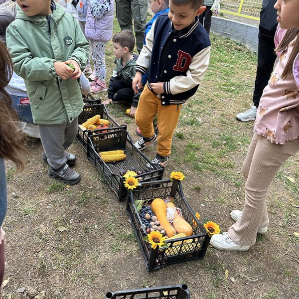 Воз од јесењих плодова (1)