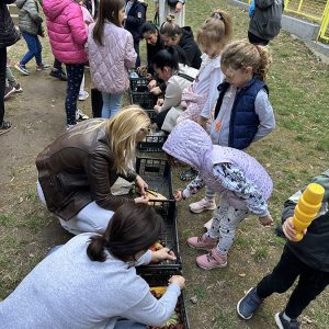 Воз од јесењих плодова (2)