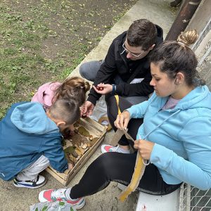 Воз од јесењих плодова (3)