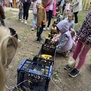 Воз од јесењих плодова (5)