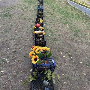 Воз од јесењих плодова (6)