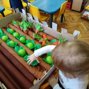 Новембар у знаку здраве хране (6)