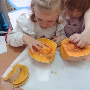 Новембар у знаку здраве хране (8)