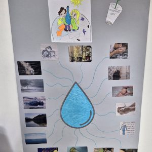 Значај воде за здравље (4)